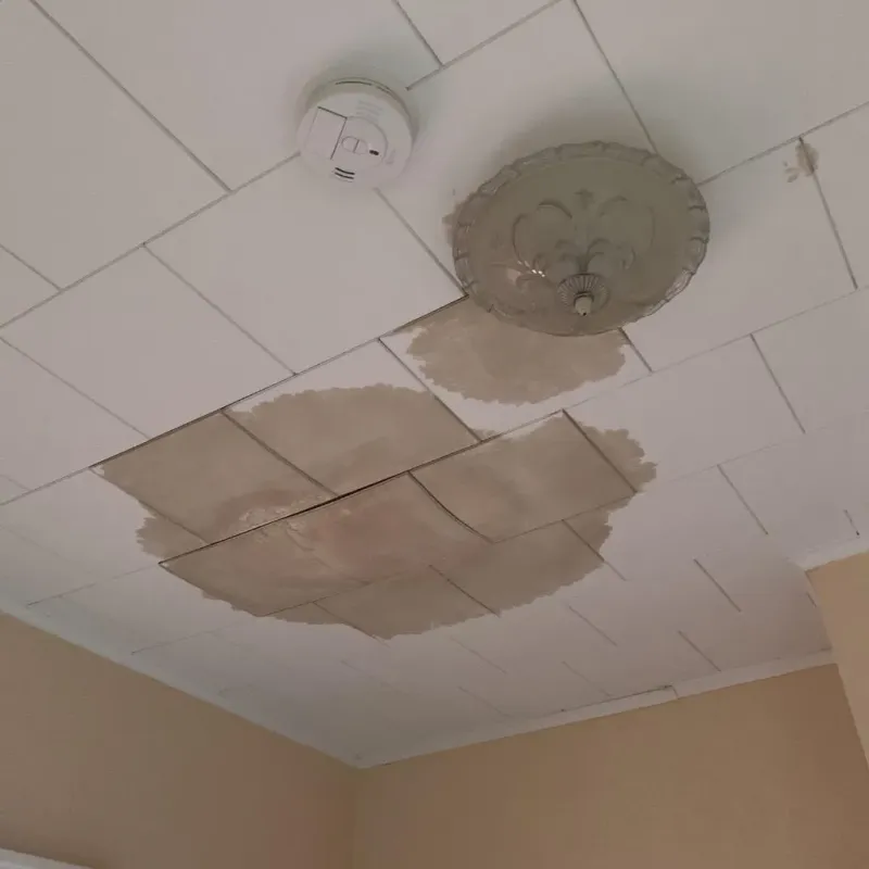 Ceiling Water Damage Repair in Albert Lea, MN